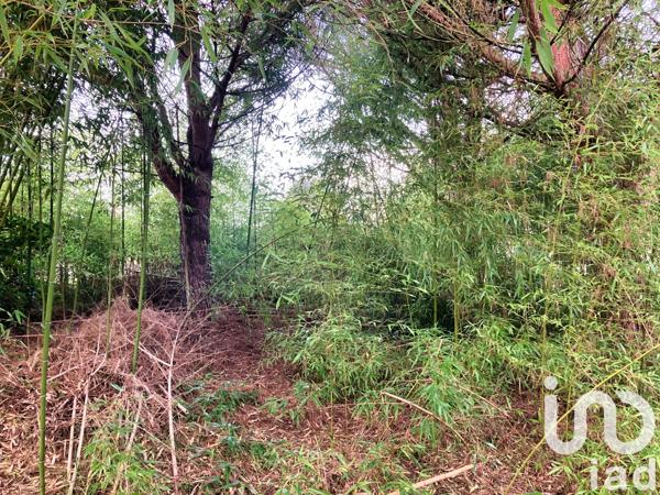 Terrain à vendre 1 010 m² Bonneuil-Matours