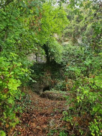 MAISON TROGLODYTIQUE  AVEC CAVES ET TERRAINS