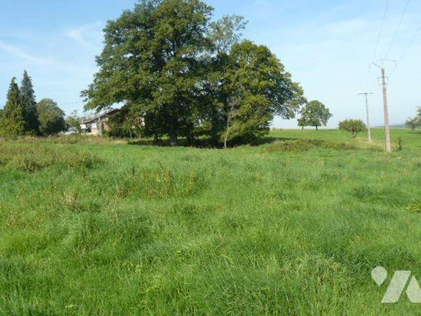 Terrain à Vendre à Sainte-Barbe (88700) en Vosges (88)

Ce terrain à bâtir situé à Sainte-Bar...