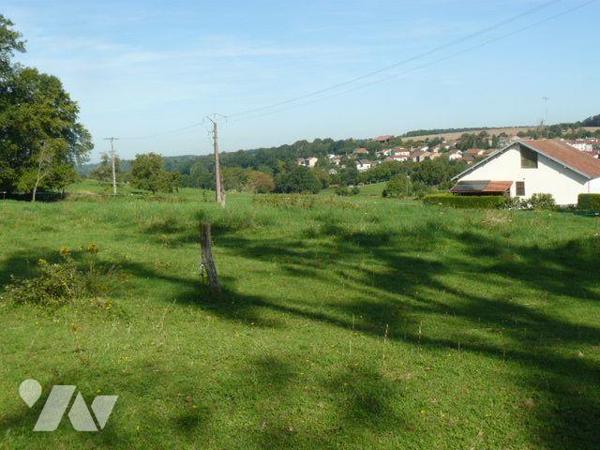 Terrain à Vendre à Sainte-Barbe (88700) en Vosges (88)

Ce terrain à bâtir situé à Sainte-Bar...