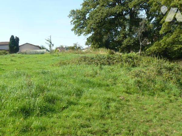 Terrain à Vendre à Sainte-Barbe (88700) en Vosges (88)

Ce terrain à bâtir situé à Sainte-Bar...