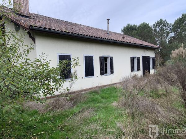 Maison à rénover avec fort potentiel