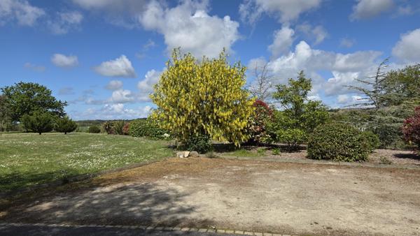 Terrain à GUERANDE (44350)