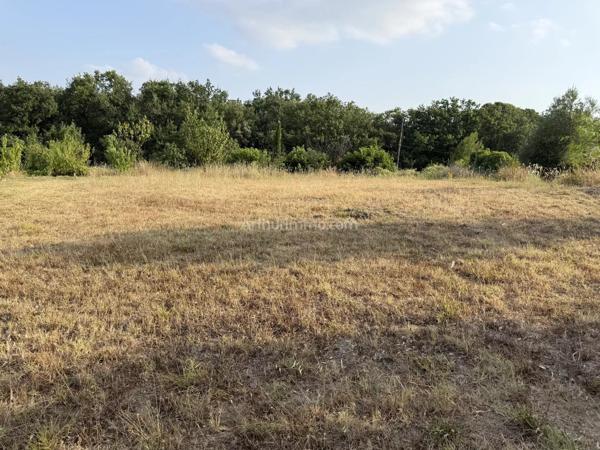 Vente                                                      Terrain
                        
                                         492 m2                     à Clermont-l'Hérault