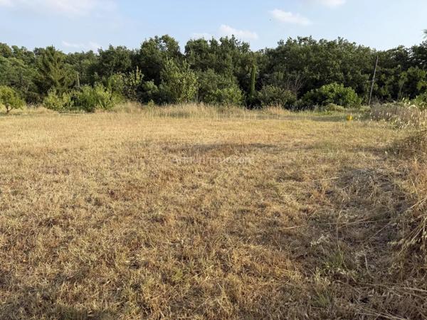 Vente                                                      Terrain
                        
                                         492 m2                     à Clermont-l'Hérault