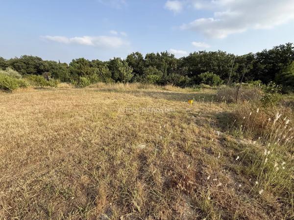 Vente                                                      Terrain
                        
                                         492 m2                     à Clermont-l'Hérault