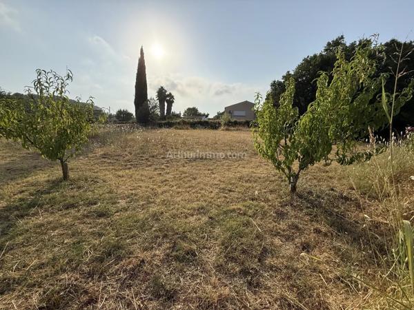 Vente                                                      Terrain
                        
                                         492 m2                     à Clermont-l'Hérault