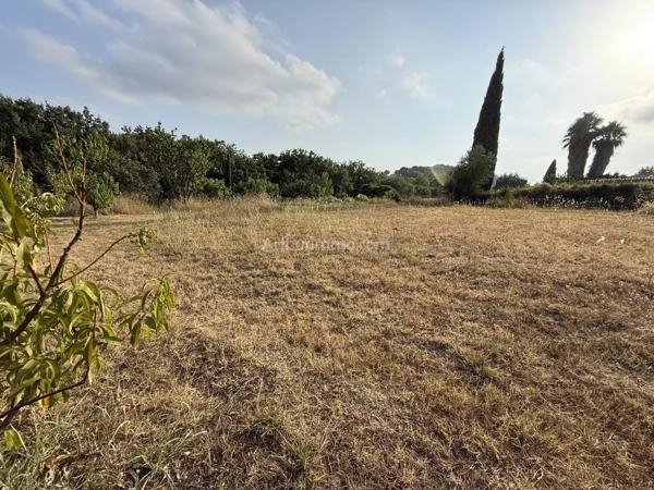 Vente                                                      Terrain
                        
                                         492 m2                     à Clermont-l'Hérault