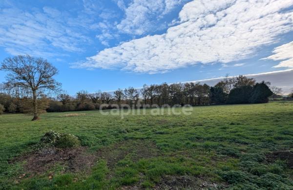 A vendre, Maison en pierres à rénover avec 2 hectares de terrain plat à Carentoir – Idéal chevaux et projets nature.”