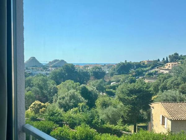 Location                                                      Appartement
                        
                     2 pièces                      33 m2                     à Villeneuve-Loubet