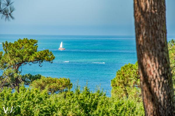 PYLA-SUR-MER- VUE BASSIN - PROPRIETE D'EXCEPTION