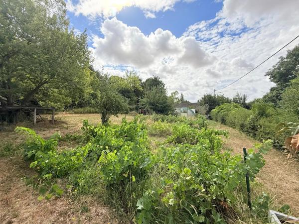 Magnifique terrain arboré constructible