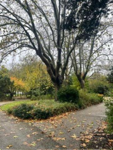 Appartement T3 La Rochelle