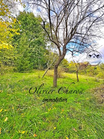 Villennes-sur-Seine (78670) Terrain à bâtir 1432m2 viabilisé à Villennes sur seine