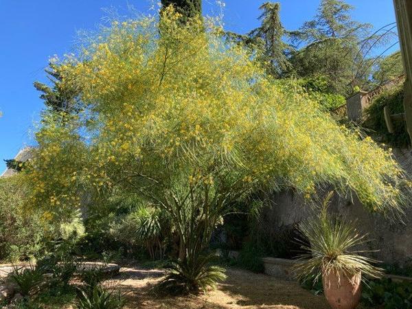 Bel appartement meublé de 270 m² - Libre