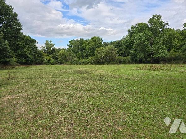 Une propriété équestre