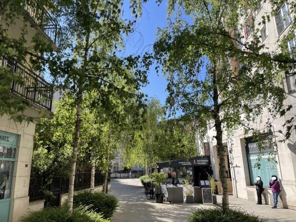 Vente / Appartement T1
