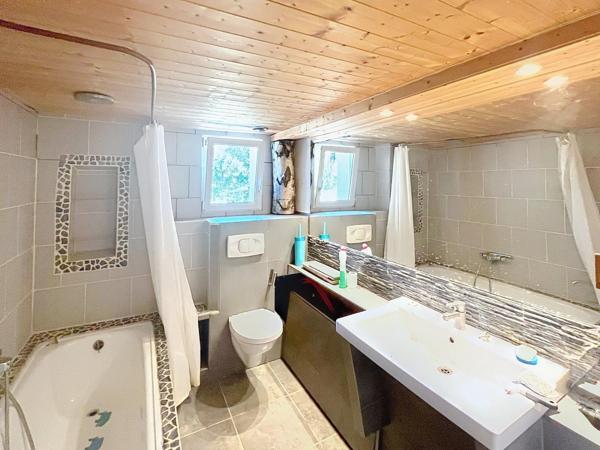 Maison atypique 7 pièces avec piscine