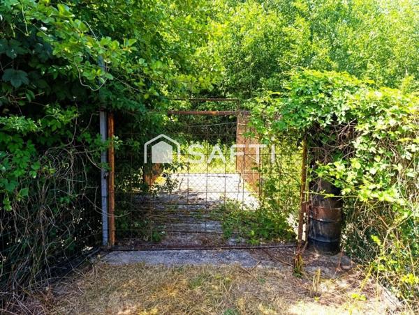 Terrain agricole non constructible de 6597 m²