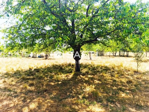 Terrain agricole non constructible de 6597 m²