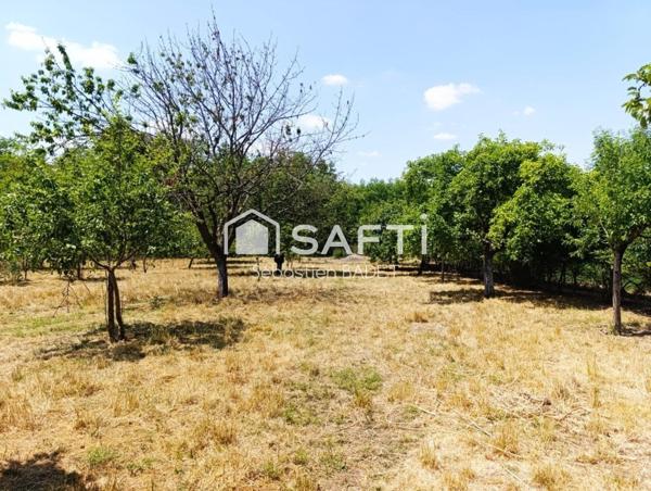 Terrain agricole non constructible de 6597 m²