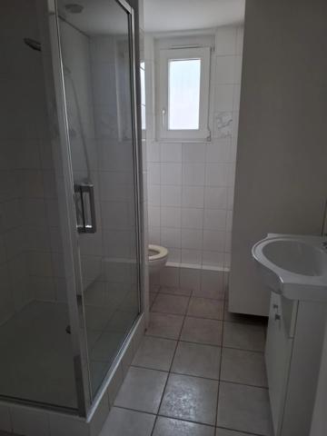 Appartement à louer 4 pièces ERSTEIN (67)