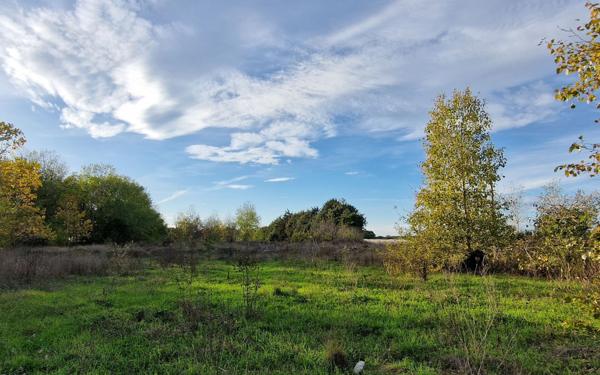 Terrain à vendre    Marsillargues