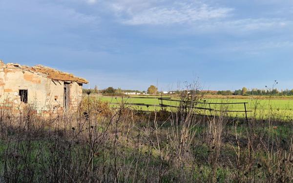 Terrain à vendre    Marsillargues