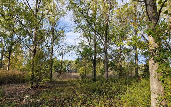 Terrain à vendre    Marsillargues