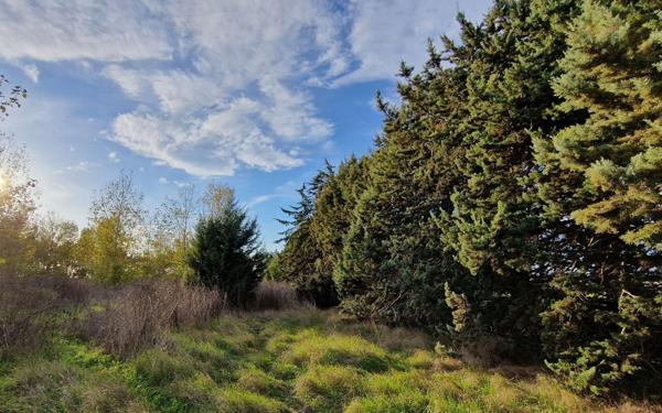 Terrain à vendre    Marsillargues