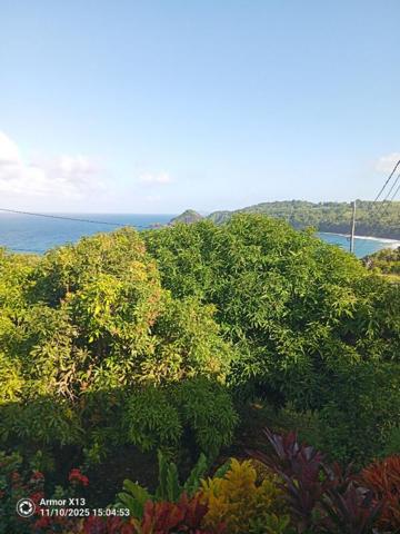 Immeuble Le Marigot  240 m2