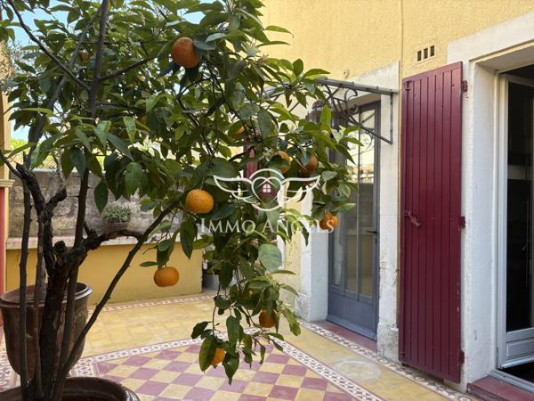 AIGUES MORTES-MAGNIFIQUE MAISON DE MAITRE AVEC PATIO