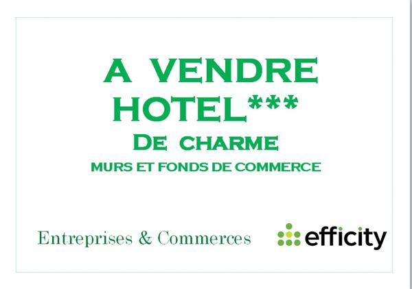 Fonds De Commerce - 1084 m²