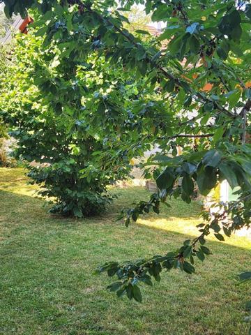 Maison à ANNEMASSE (74100)