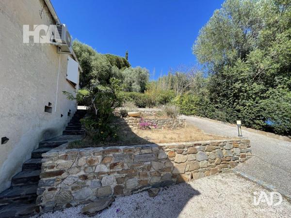 Murs commerciaux  à vendre 678 m² Le Lavandou