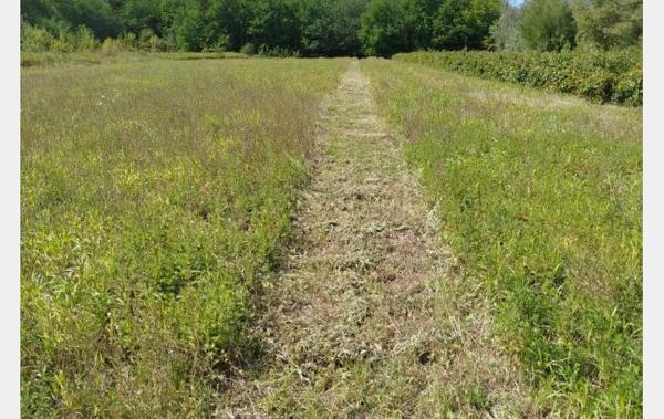 Vente Maison Goudargues   