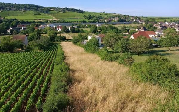 Terrain à vendre    Saint-Désert
