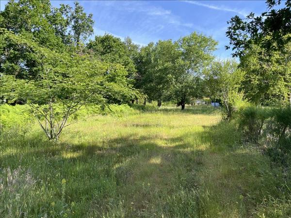 Terrain à vendre |  Grayan-et-l'Hôpital |  4810 m²