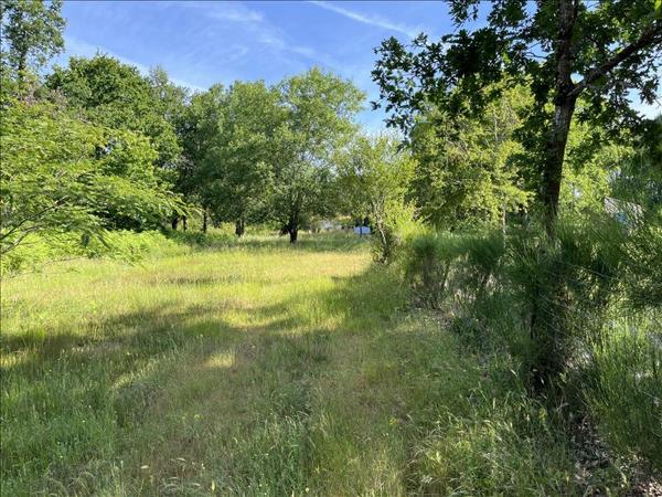 Terrain à vendre |  Grayan-et-l'Hôpital |  4810 m²