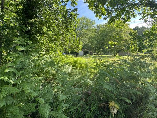 Terrain à vendre |  Grayan-et-l'Hôpital |  4810 m²