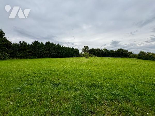 BELLE PROPRIETE DE CHARME AVEC 1.4 HA DE TERRAIN