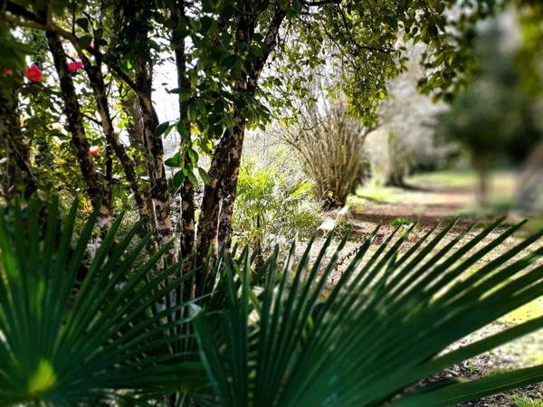 🏡 RISCLÉ – Centre-ville : Maison T4 avec garage 🚗 et superbe terrain arboré de 1 350 m² 🌳