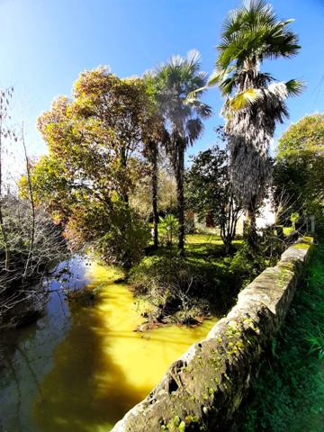 🏡 RISCLÉ – Centre-ville : Maison T4 avec garage 🚗 et superbe terrain arboré de 1 350 m² 🌳