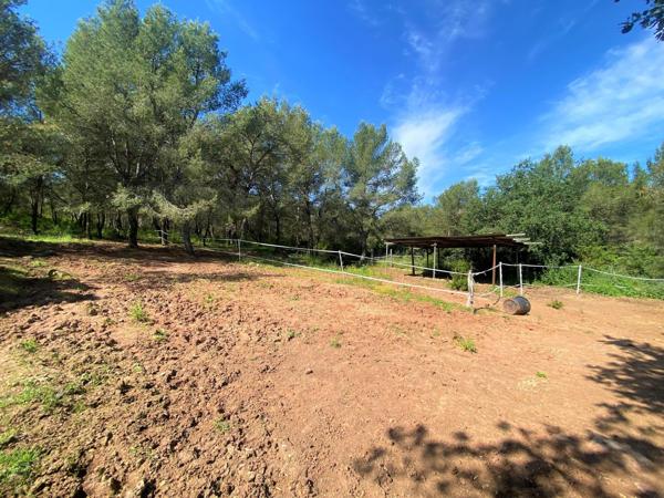 Propriété de 2.4 hectares de terrain naturel à Solliès-Pont
