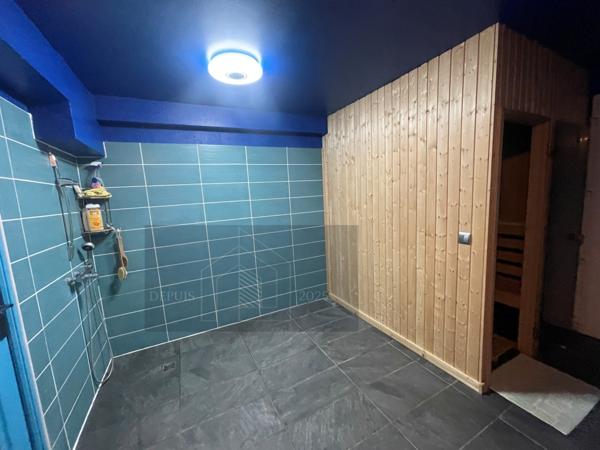 Paillé (17470) SPECIAL INVESTISSEUR propriété avec 2 maisons Piscine Pool House Hanger atelier sur parcelle de 3000m²