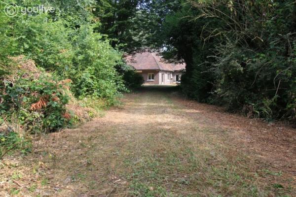 Propriété d’architecte de 316 m² sur un terrain de 14000 m²