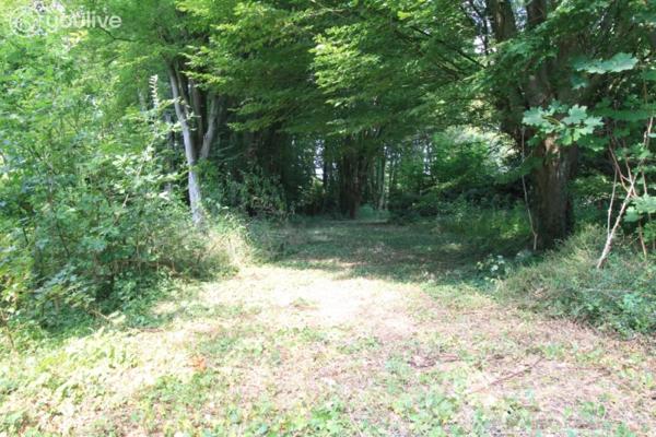 Propriété d’architecte de 316 m² sur un terrain de 14000 m²