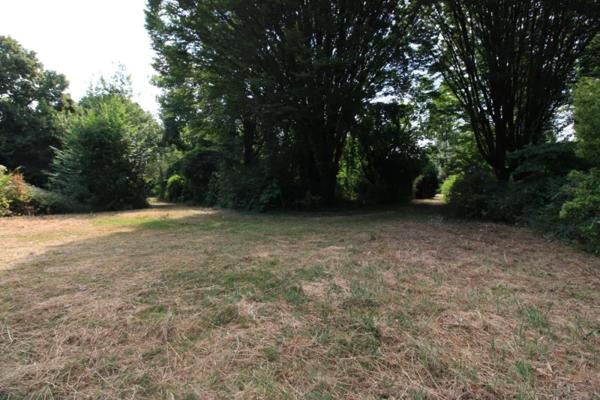 Propriété d’architecte de 316 m² sur un terrain de 14000 m²