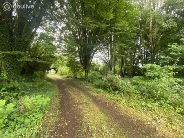 Propriété d’architecte de 316 m² sur un terrain de 14000 m²