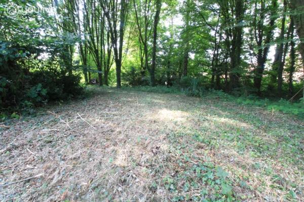 Propriété d’architecte de 316 m² sur un terrain de 14000 m²